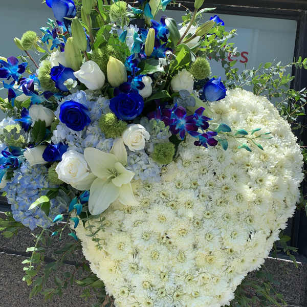 Heart-shaped floral tribute with white chrysanthemums and blue flowers