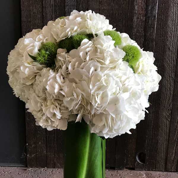 White hydrangea bouquet with green accents in a tall glass vase