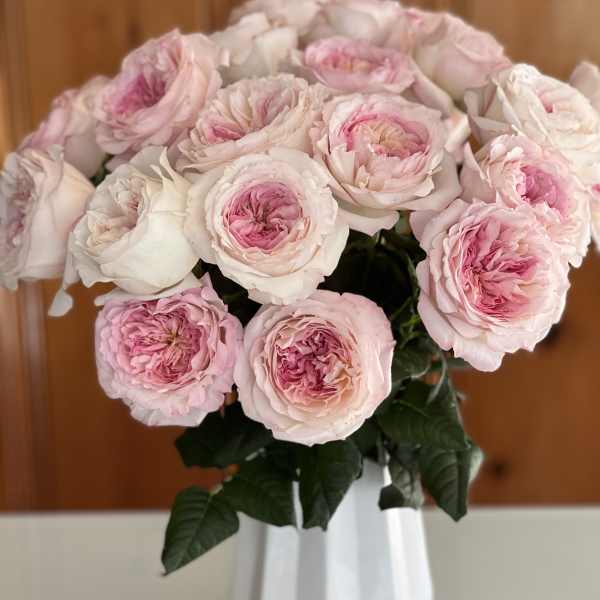 Bouquet of pale pink roses in a white vase