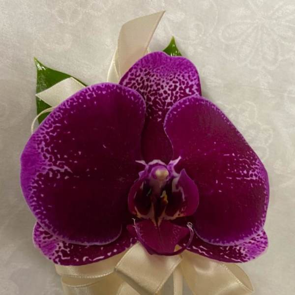 Single purple orchid bloom with a cream ribbon bow
