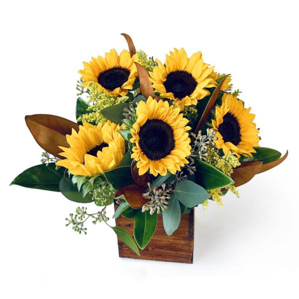 Sunflower arrangement in a wooden box with mixed greenery
