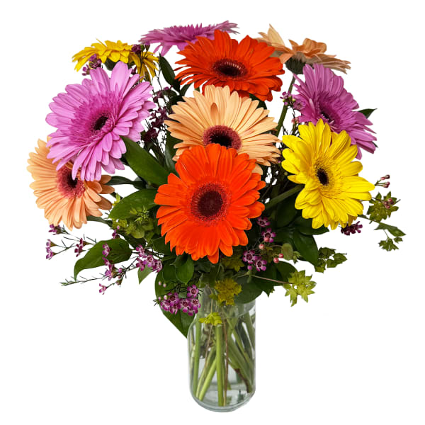 Colorful gerbera daisy bouquet in a clear glass vase