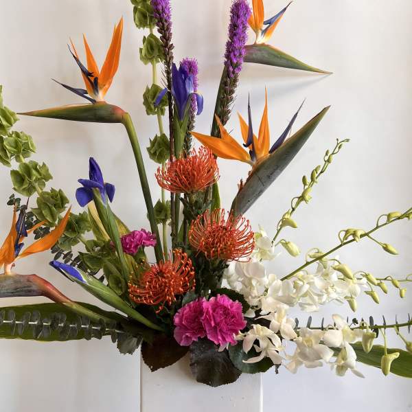 Tropical arrangement with bird-of-paradise, orchids, and orange pincushion blooms
