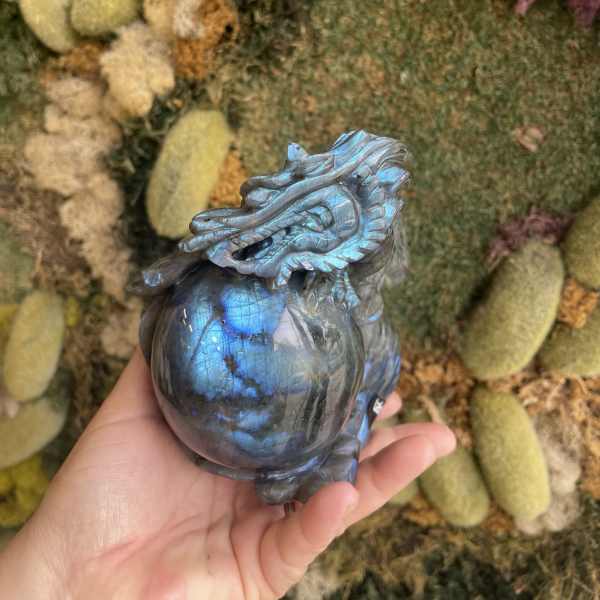 Hand holding a blue iridescent dragon figurine in front of a moss wall