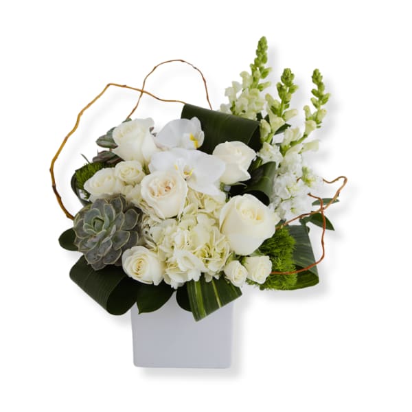 White roses and orchids in a square vase with succulents