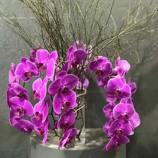 Purple orchid stems in a clear glass vase with tall twig accents