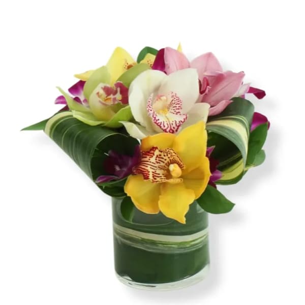 Bouquet of colorful orchids in a glass vase