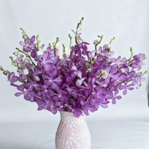 Purple orchid arrangement in a pink-and-white vase