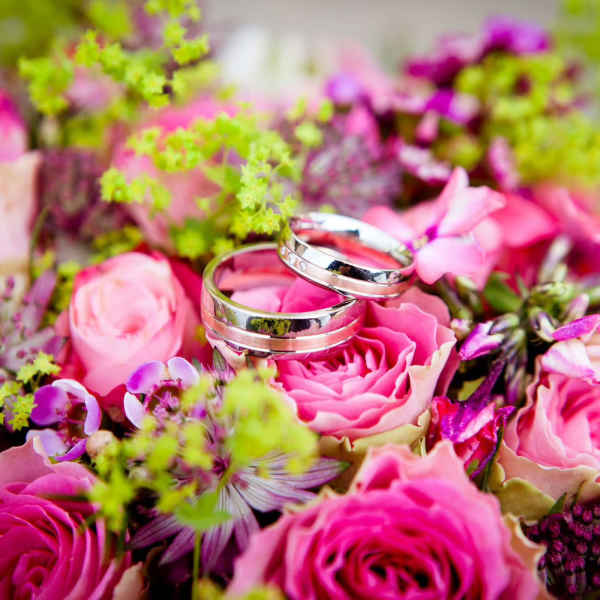 Pink roses with two silver wedding rings nestled among flowers