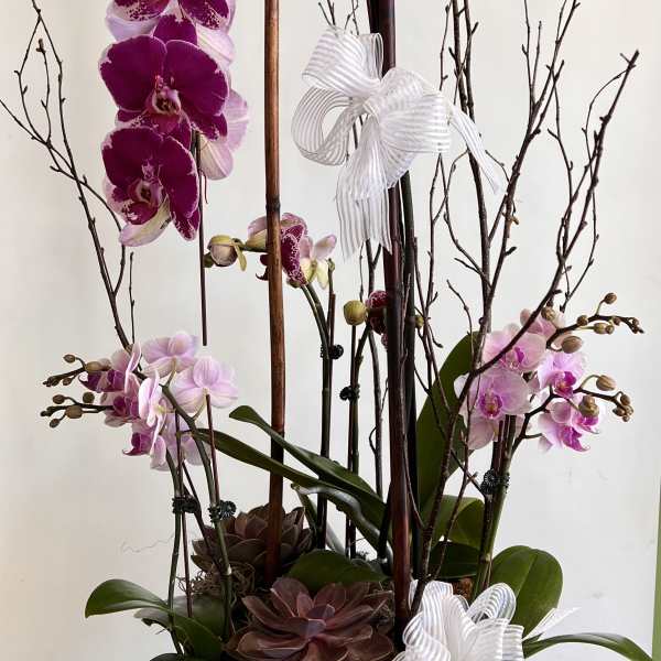 Orchid arrangement with purple blooms in a wooden planter