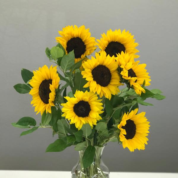 Bouquet of yellow sunflowers in a clear glass vase