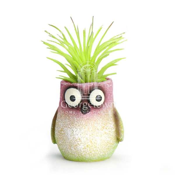 Bitty Baby Hummingbird Planter by Blob House with Air Plant or Succulent Plant