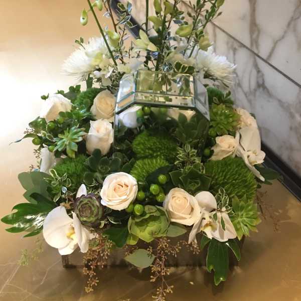 White roses and orchids arranged with succulents in a mirrored box