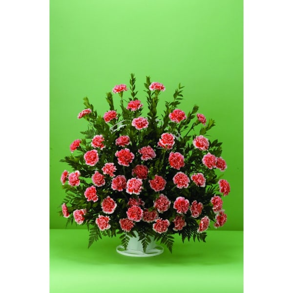Pink carnations arranged in a white standing container