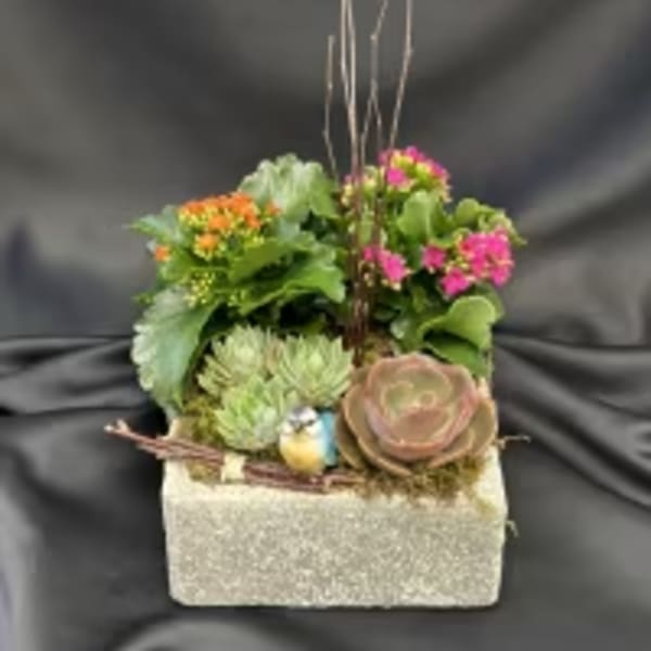 Succulent arrangement in a glittery square container with pink and orange blooms