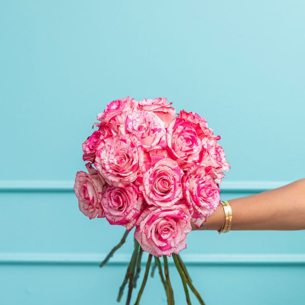 Handheld bouquet of pink and white roses against a blue background