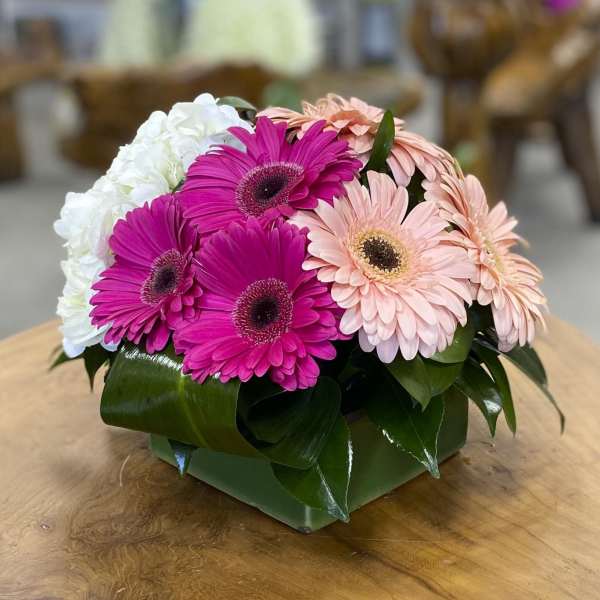 Pink and peach gerbera daisies arranged in a low square container