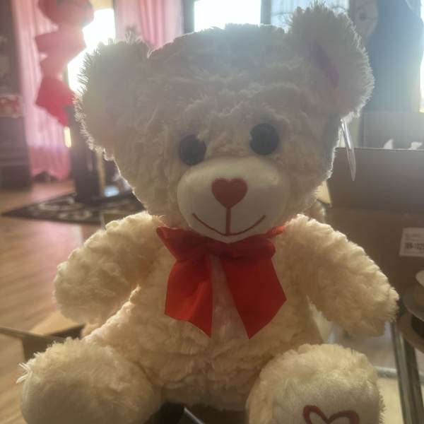 Valentine Bear
