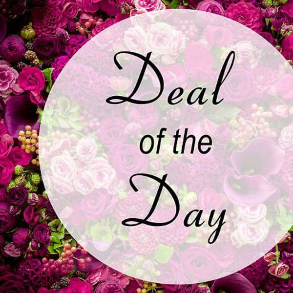 Pink floral wall with a circular sign reading "Deal of the Day"