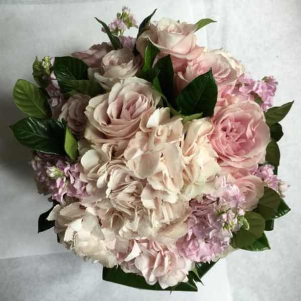 Suzanne Cummings Original 3