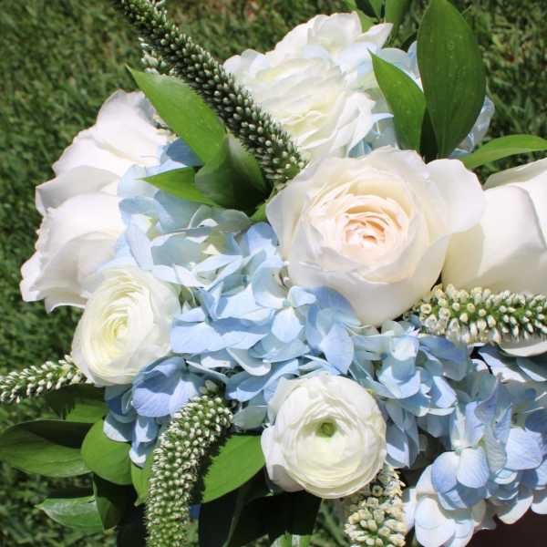 White roses and pale blue hydrangeas in a hand-held bouquet