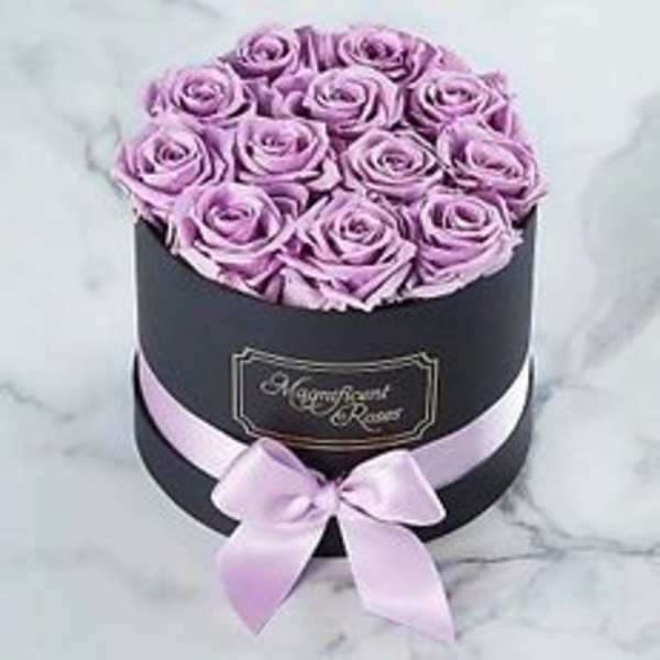 Lavender roses arranged in a black round box with a pink ribbon