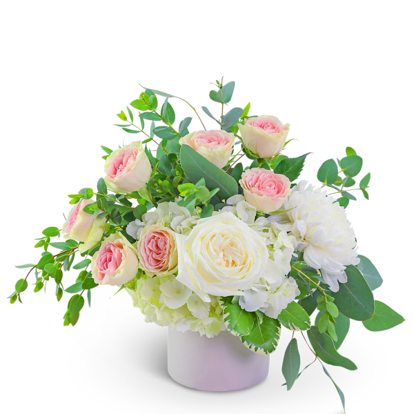 Pink and white roses in a white vase with greenery