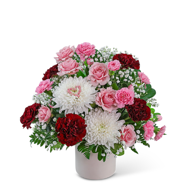 Pink and red carnations with white chrysanthemums in a white vase