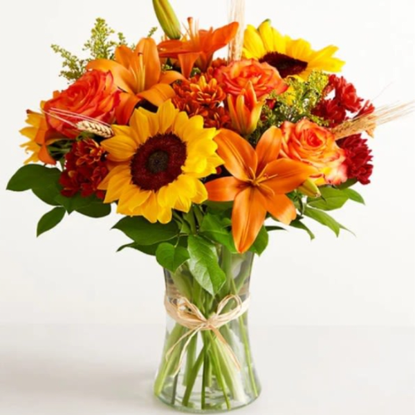 Fields of Europe for Fall