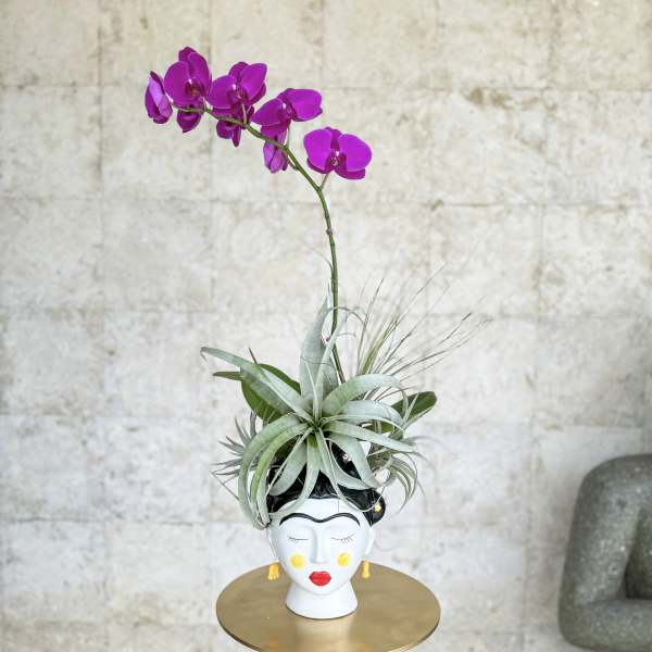 Purple orchid in a decorative face-shaped planter with air plants