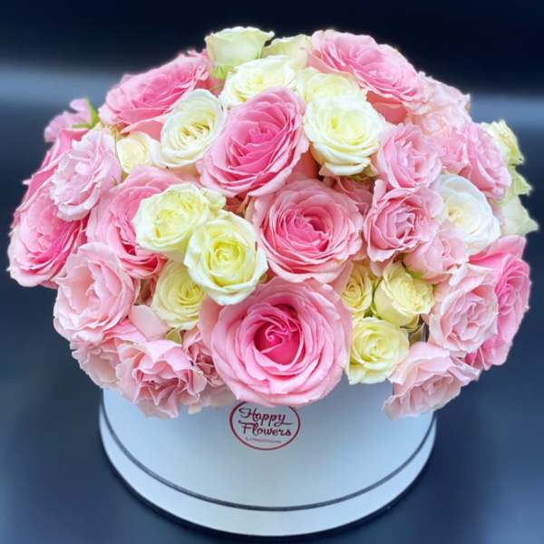 Pink and white roses arranged in a round white box