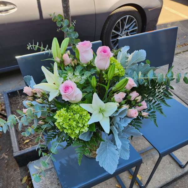 Designer Choice Wild and Free