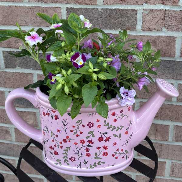 A Sprinkle of Love in Pink