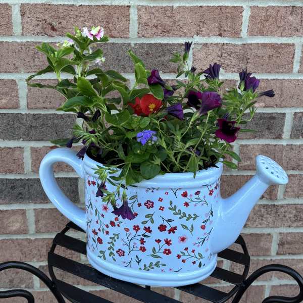 A Sprinkle of Love in Blue