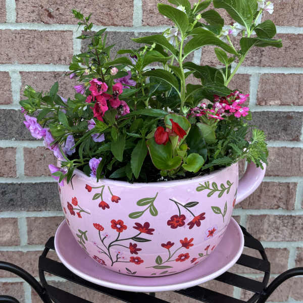 Best Mom Ever! in Pink