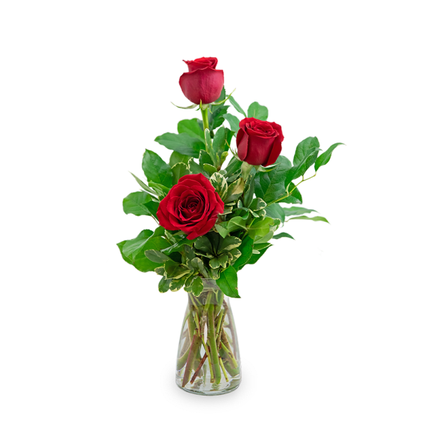 Three red roses in a clear glass vase