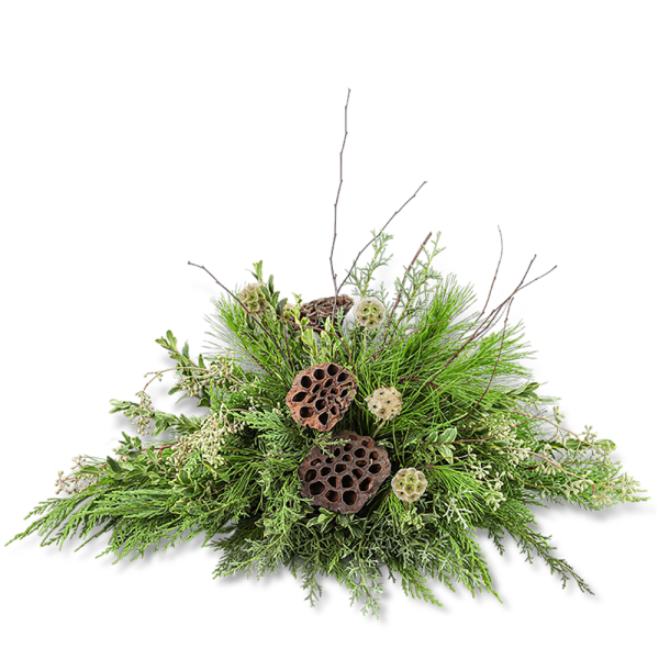 Green foliage arrangement with lotus pods on a black background