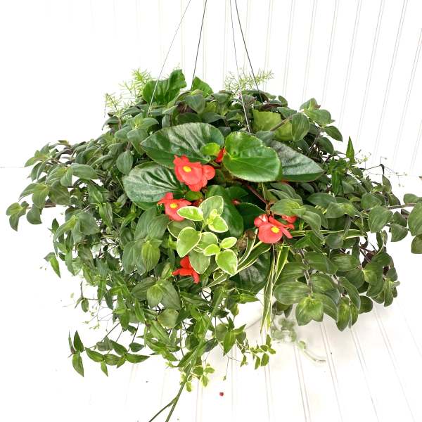 Aunt Netties Hanging Baskets