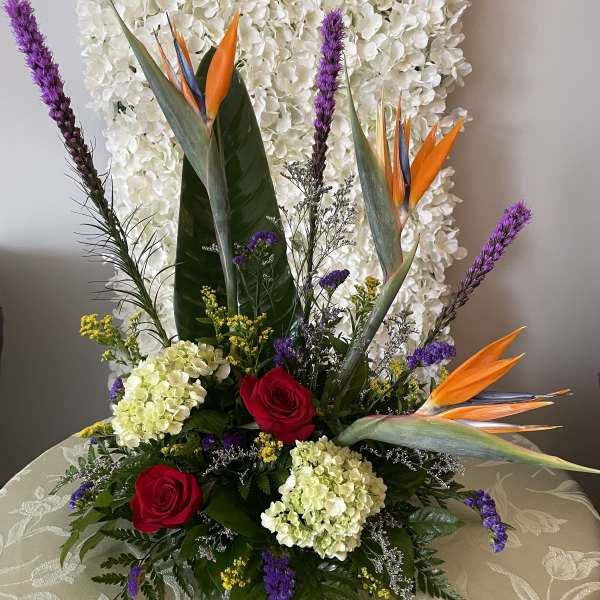 Rare Bird in Paradise