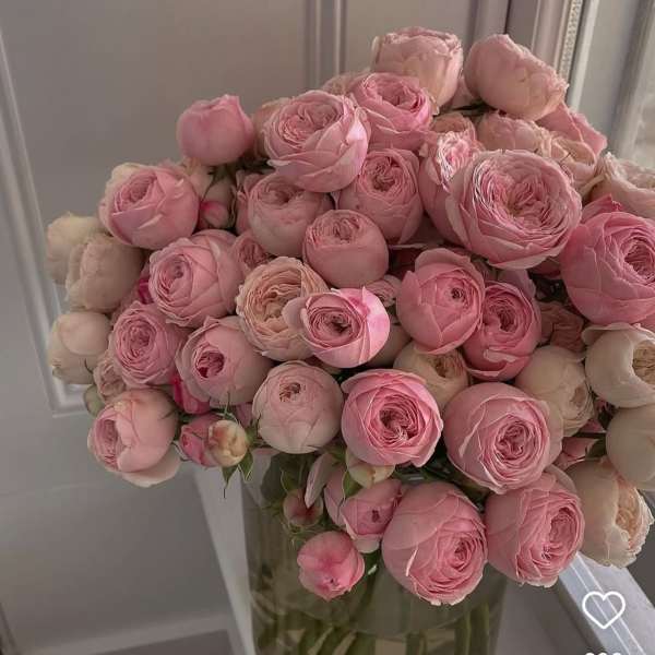 Bouquet of pink ranunculus in a clear glass vase
