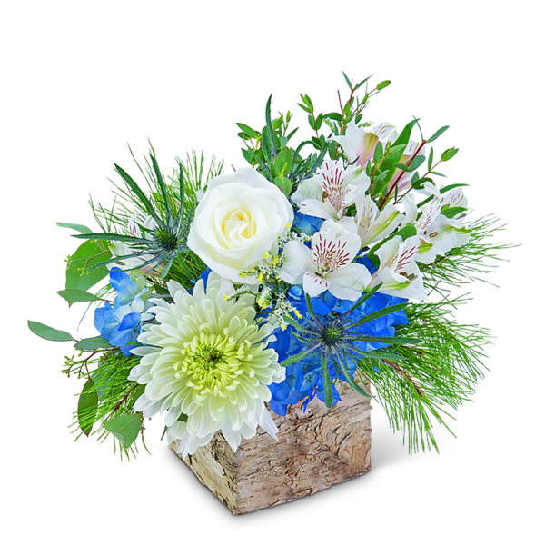 White roses and blue flowers in a rustic wood container
