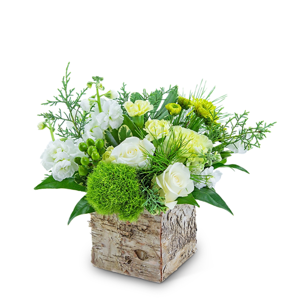 White and pale yellow floral arrangement in a birch box