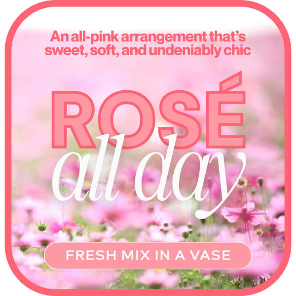 Pink floral arrangement graphic with the words "ROSE all day"