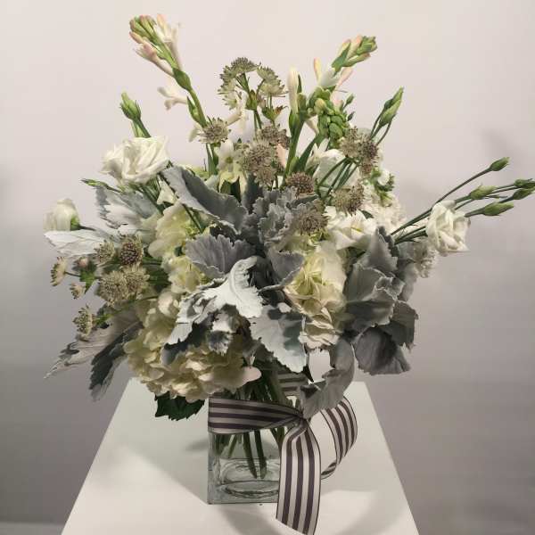 Study in Grey & White