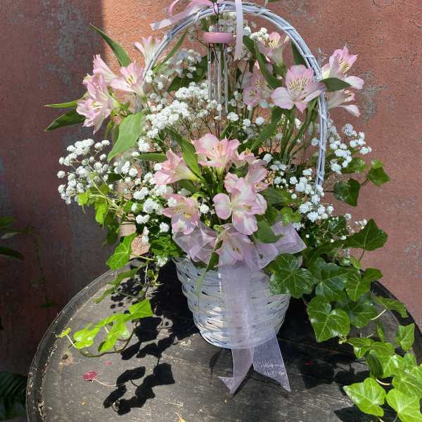 Pink alstroemeria arranged in a white basket with baby's breath