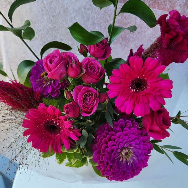 Designers Choice Monochromatic