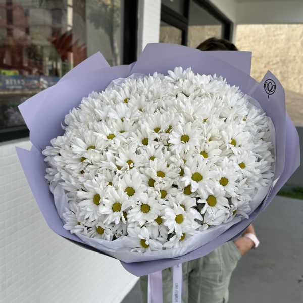 Large bouquet of white daisies wrapped in lavender paper