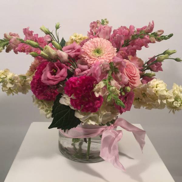 Fifty Shades of Pink