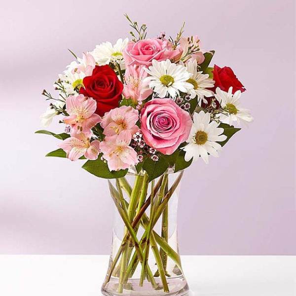 Pink and red roses with white daisies in a clear glass vase