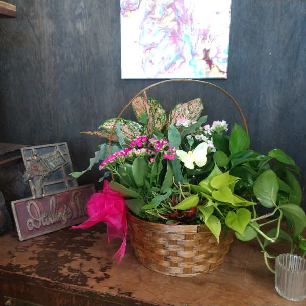 Mixed potted plants and small pink flowers in a wicker basket with a pink bow